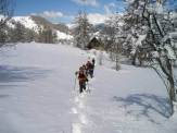activities snowshoeing sans souci